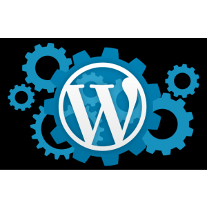 Start-Up Web Package